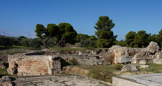 Isthmia