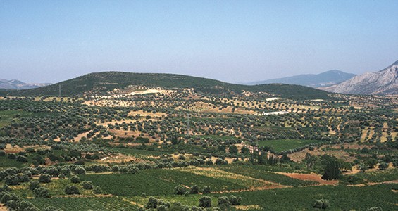 Nemea Valley Archaeological Project (NVAP)