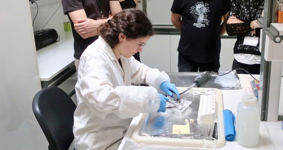 Ancient DNA Course